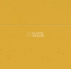 Forbo Sphera Energetic 50210 mandarin фото 2 | FLOORDEALER